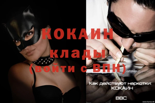 молекула духа Касимов