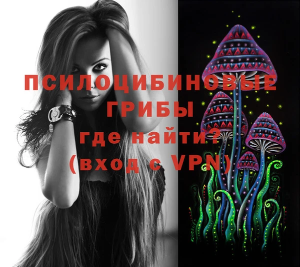 гашик Иннополис
