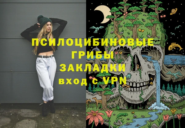 молекула духа Касимов