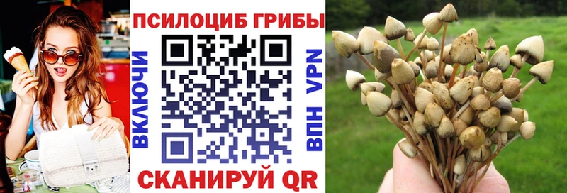 Галлюциногенные грибы MAGIC MUSHROOMS  наркота  Красноармейск 