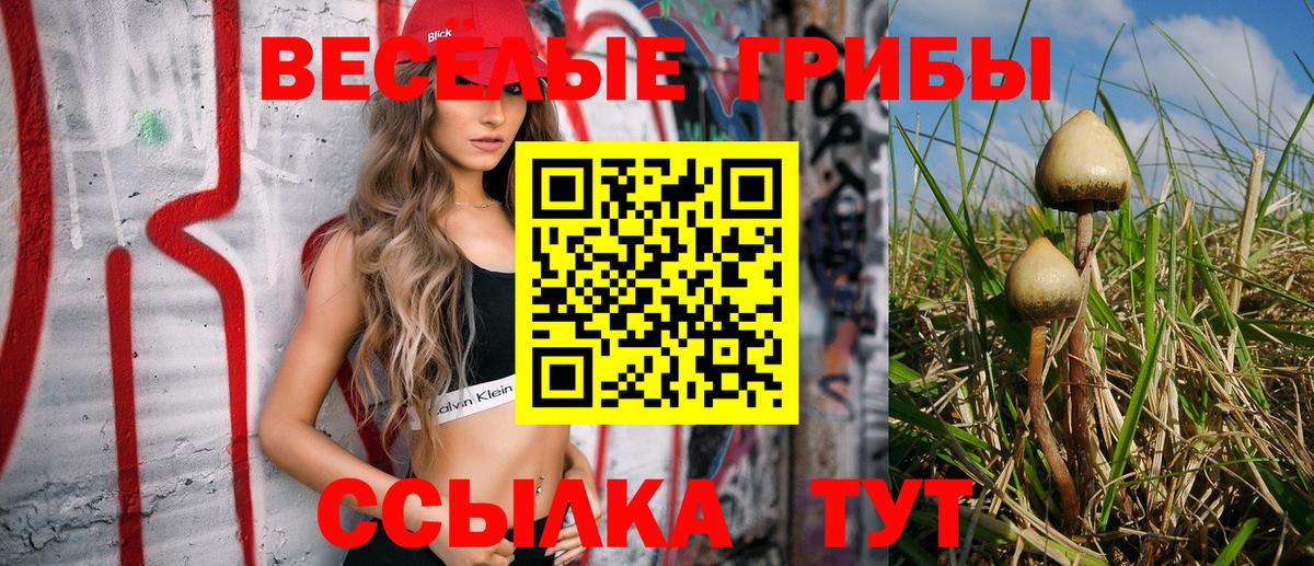 Псилоцибиновые грибы ЛСД  Псилоцибиновые грибы Psilocybine cubensis  Красноармейск  Вход с VPN 