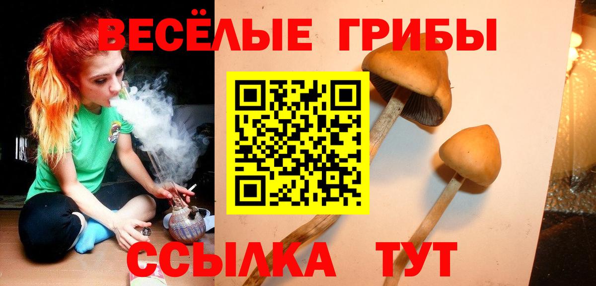 Галлюциногенные грибы мицелий Красноармейск